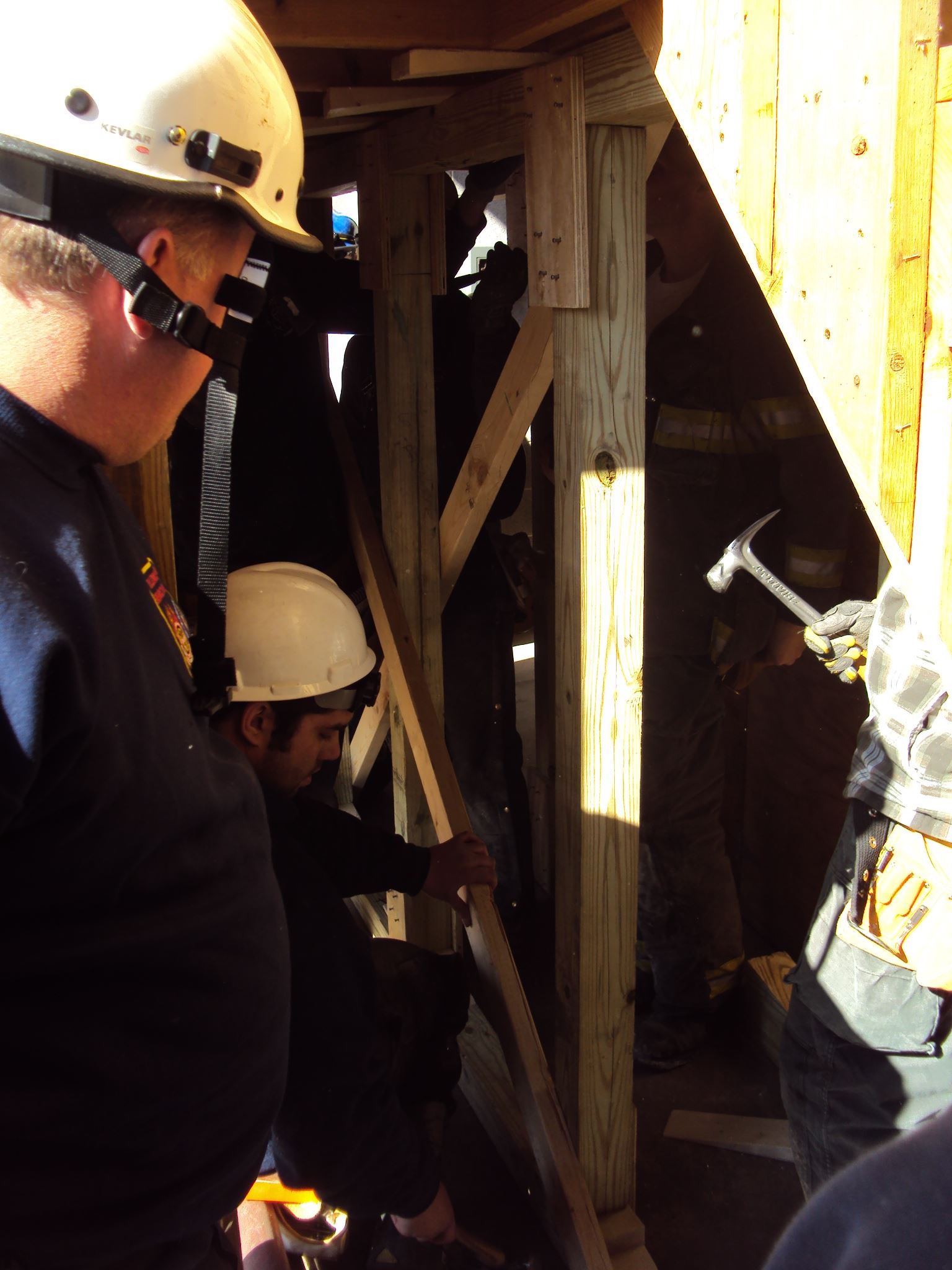 People With Construction Hats and Wooden Boards